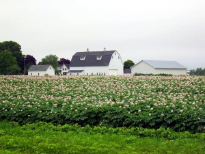 houlton me farms