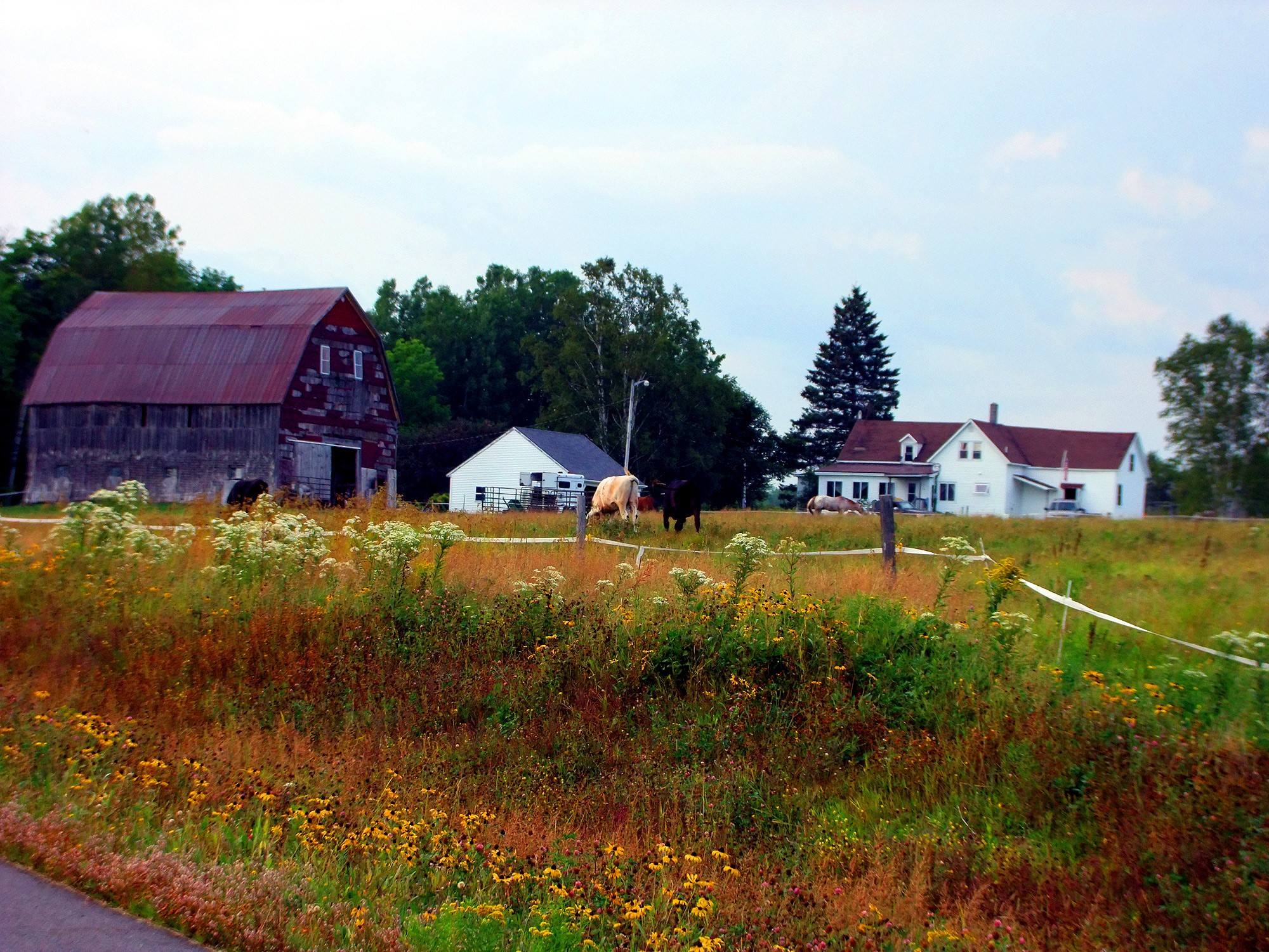 Farms For Sale In Northern Wi at Shelley Sweat blog