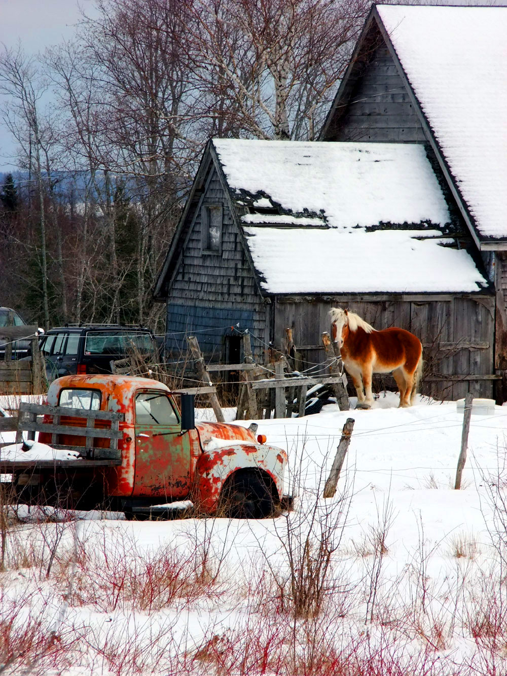 Farms For Sale In Maine Buying Maine Farm Properties Own Maine Real   Mainehorses101 