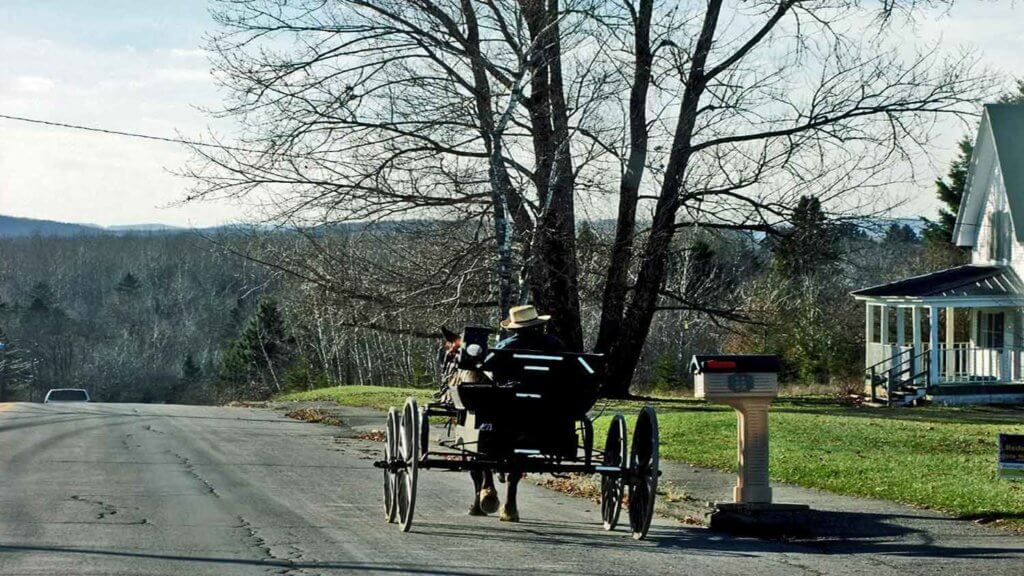 heading home in maine