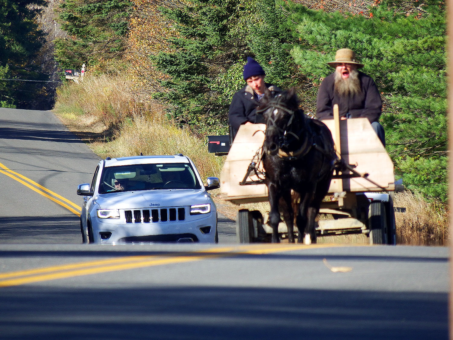 amish in maine photo