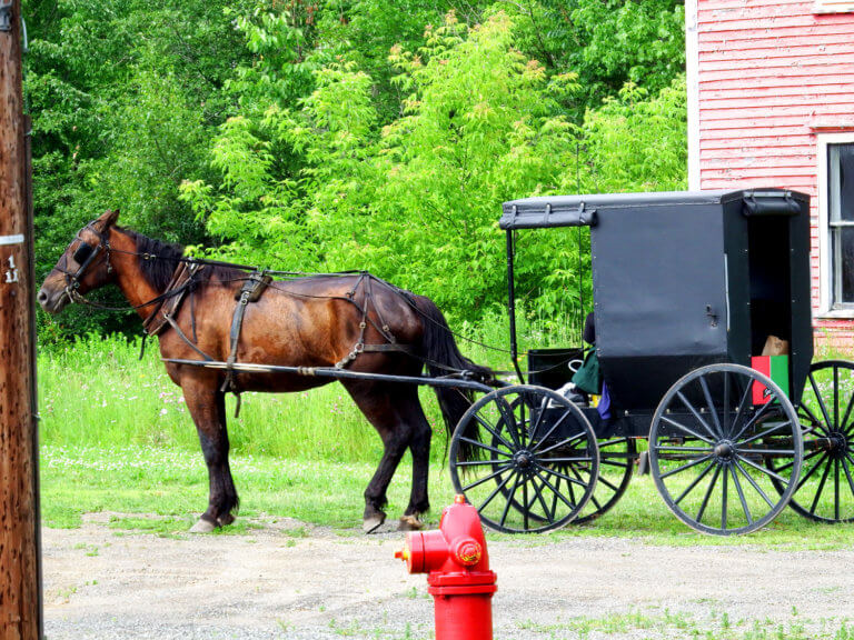 Amish Sheds Camps Buildings For Sale In Maine - Own Maine Real Estate